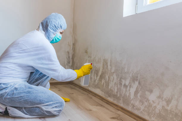 Mold inspector in Wyandanch performing thermal imaging