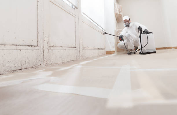 Black mold remediation team in Wyandanch